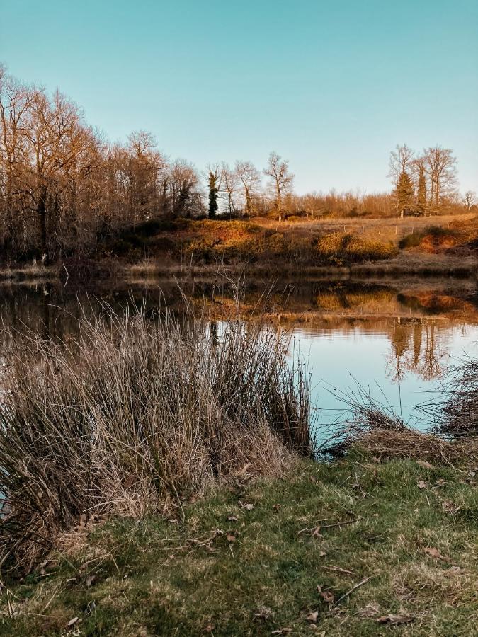 La Ferme Du Pont De Maumy, Cabane Au Bord De L'Etang Et Bain Nordique Busserolles Exterior foto