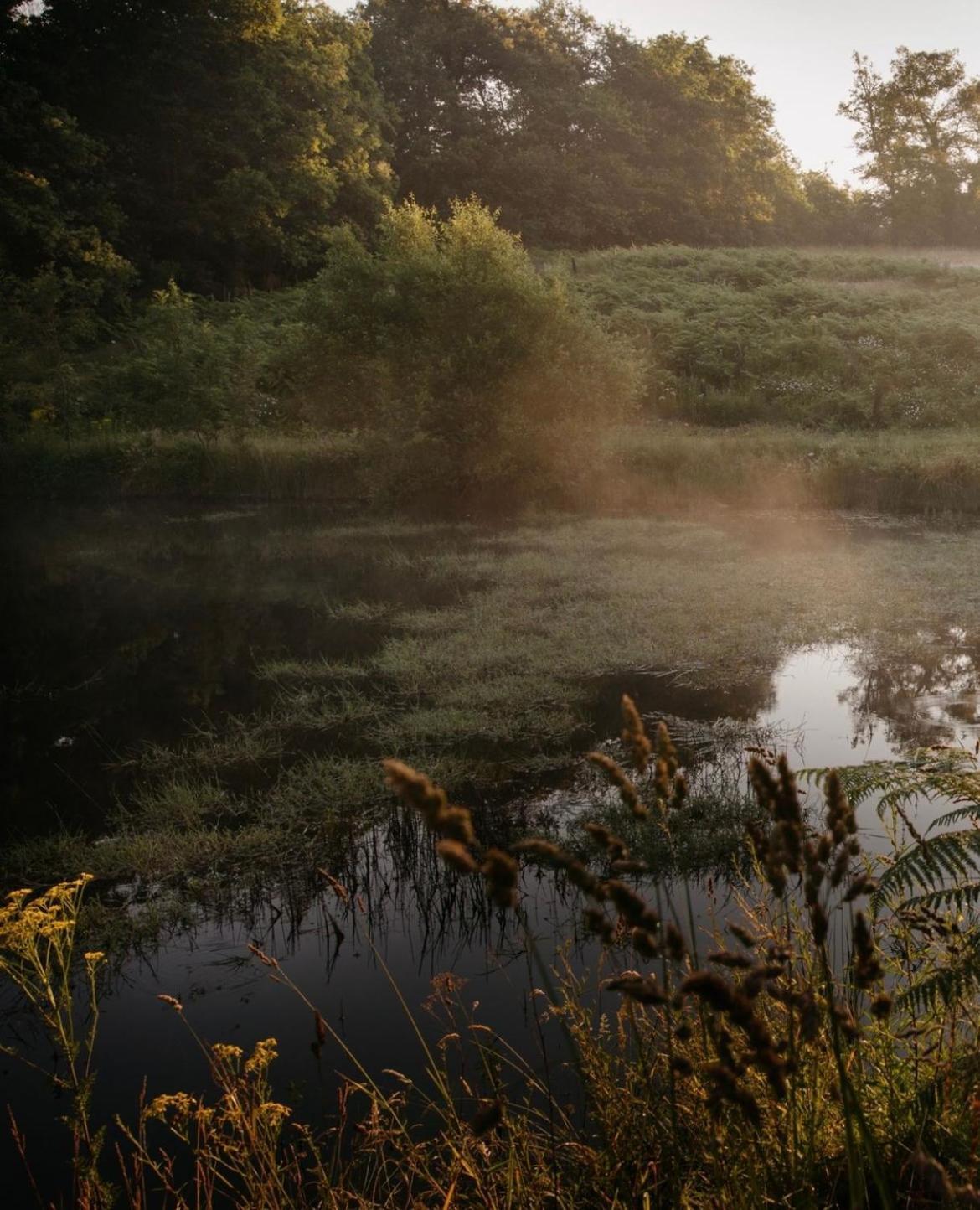 La Ferme Du Pont De Maumy, Cabane Au Bord De L'Etang Et Bain Nordique Busserolles Exterior foto